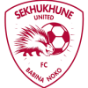 Team logo